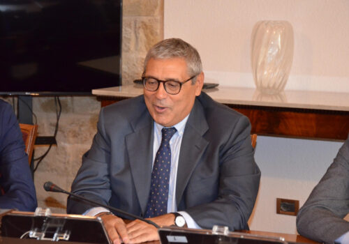CUFFARO: “PALERMO-ROMA 570 EURO. PROPOSTA DI LEGGE PER CALMIERARE I PREZZI” 